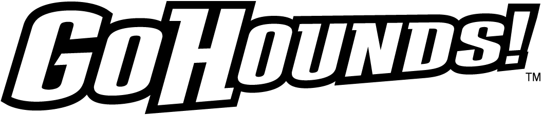 Loyola-Maryland Greyhounds 2011-Pres Wordmark Logo v5 iron on transfers for T-shirts
